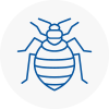 Bed Bug Extermination In Chipping Norton