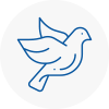 Bird Prevention Chipping Norton