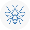 Chipping Norton Hornet Nest Removals