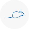 Mice Exterminators In Chipping Norton