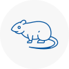 Rat Control Chipping Norton