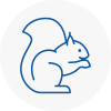 Chipping Norton Rodent Removals