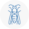 Chipping Norton Wasp Nest Removal